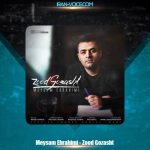 دانلود آهنگ میثم ابراهیمی زود گذشت