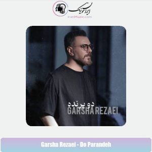 دانلود آهنگ گرشا رضایی دو پرنده