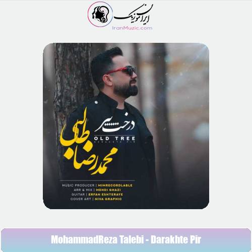 دانلود آهنگ محمدرضا طالبی درخت پیر