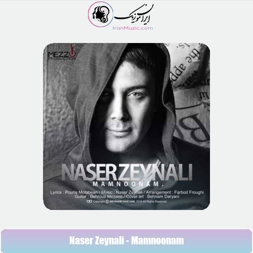 دانلود آهنگ ناصر زینعلی ممنونم