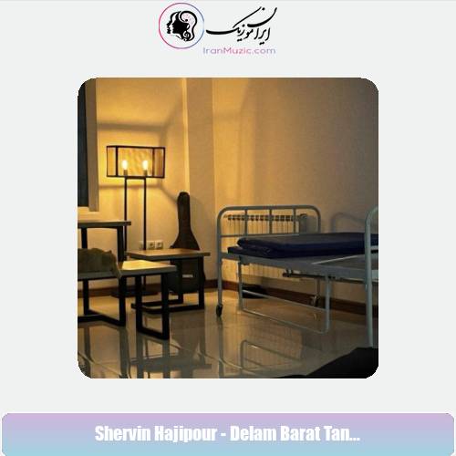 دانلود آهنگ شروین حاجی پور دلم برات تنگ میشه دانلود آهنگ شروین حاجی پور دلم برات تنگ میشه