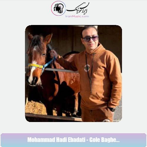دانلود آهنگ محمد هادی عبادتی گل باغ شیراز