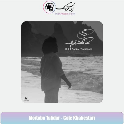 دانلود آهنگ مجتبی تابدار گل خاکستری