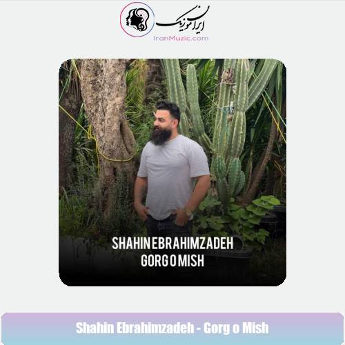 دانلود آهنگ شاهین ابراهیم زاده گرگ و میش