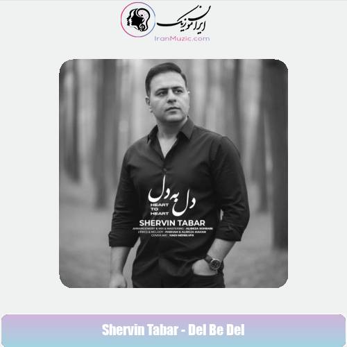 دانلود آهنگ شروین تبار دل به دل
