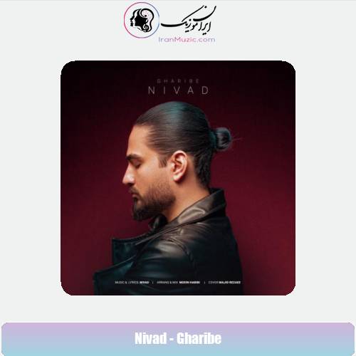 دانلود آهنگ نیواد غریبه